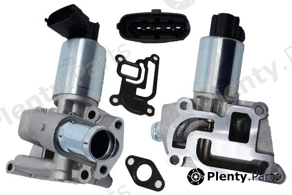 Bugiad BGR13039 — EGR Valve
