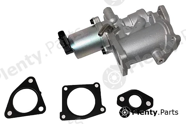 Bugiad BGR13093 — EGR Valve