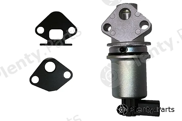 Bugiad BGR13002 — EGR Valve