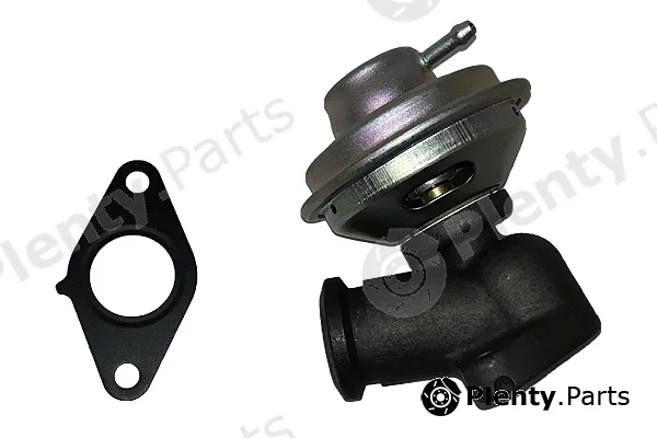 Bugiad BGR13083 — EGR Valve