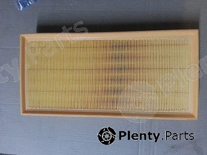 Bugiad BSP21015 — Air Filter