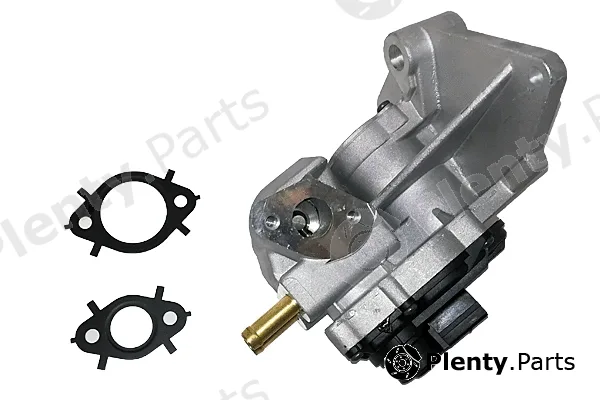 Bugiad BGR13012 — EGR Valve
