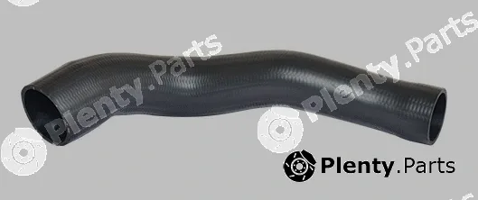 Bugiad 88711 — Charge Air Hose
