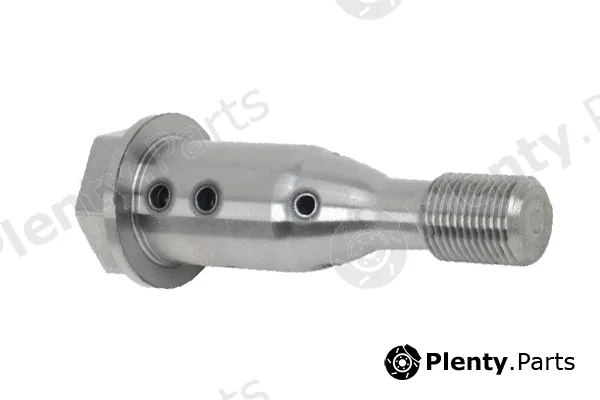 Bugiad BMS54538 — Control Valve, camshaft adjustment