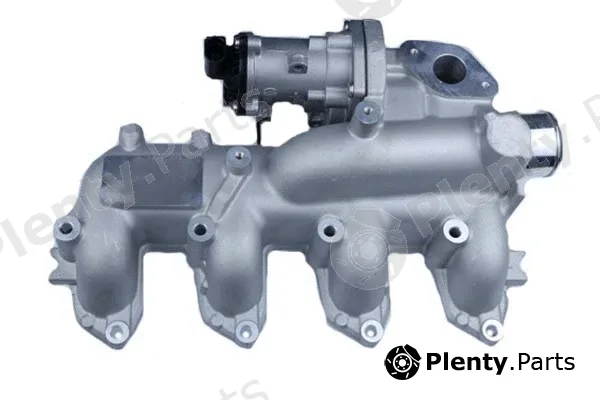 Bugiad BGR13094 — EGR Valve