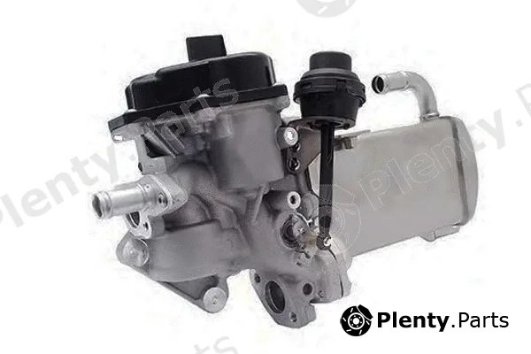 Bugiad BGR13096 — EGR Valve