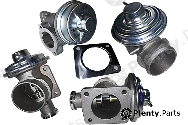 Bugiad BGR13091 — EGR Valve
