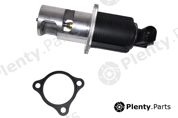 Bugiad BGR13043 — EGR Valve