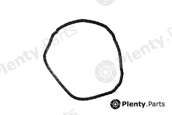 Bugiad BSP24576 — Timing Chain