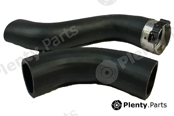 Bugiad 81870 — Charge Air Hose