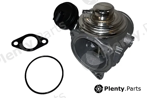 Bugiad BGR13018 — EGR Valve
