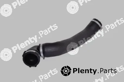 Bugiad 88412 — Charge Air Hose