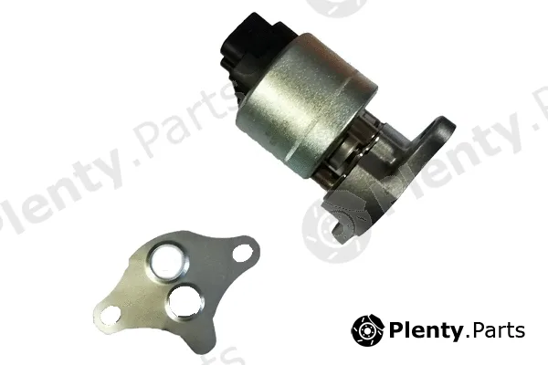 Bugiad BGR13029 — EGR Valve