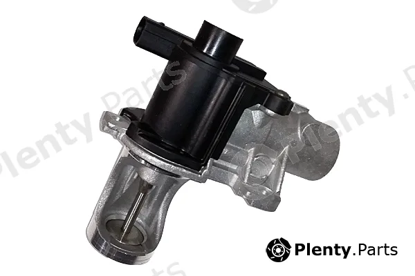 Bugiad BGR13024 — EGR Valve