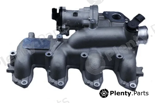 Bugiad BGR13095 — EGR Valve