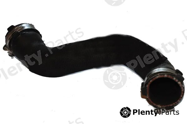 Bugiad 81991 — Charge Air Hose
