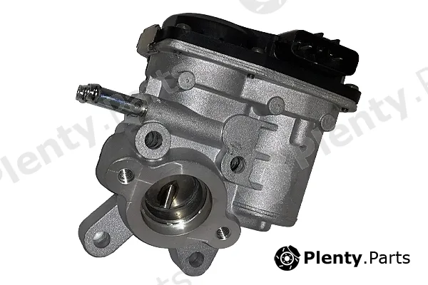 Bugiad BGR13074 — EGR Valve