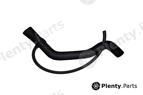 Bugiad BSP25038 — Radiator Hose