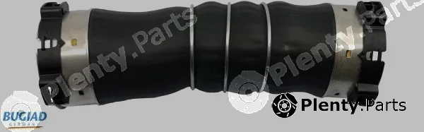 Bugiad 81908 — Charge Air Hose