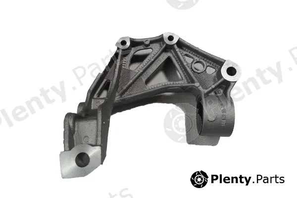 Bugiad BSP20325PROKIT — Holder, control arm mounting