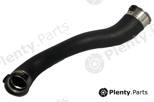 Bugiad 81857 — Charge Air Hose