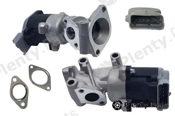 Bugiad BGR13066 — EGR Valve