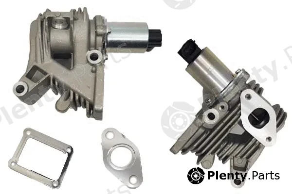 Bugiad BGR13073 — EGR Valve