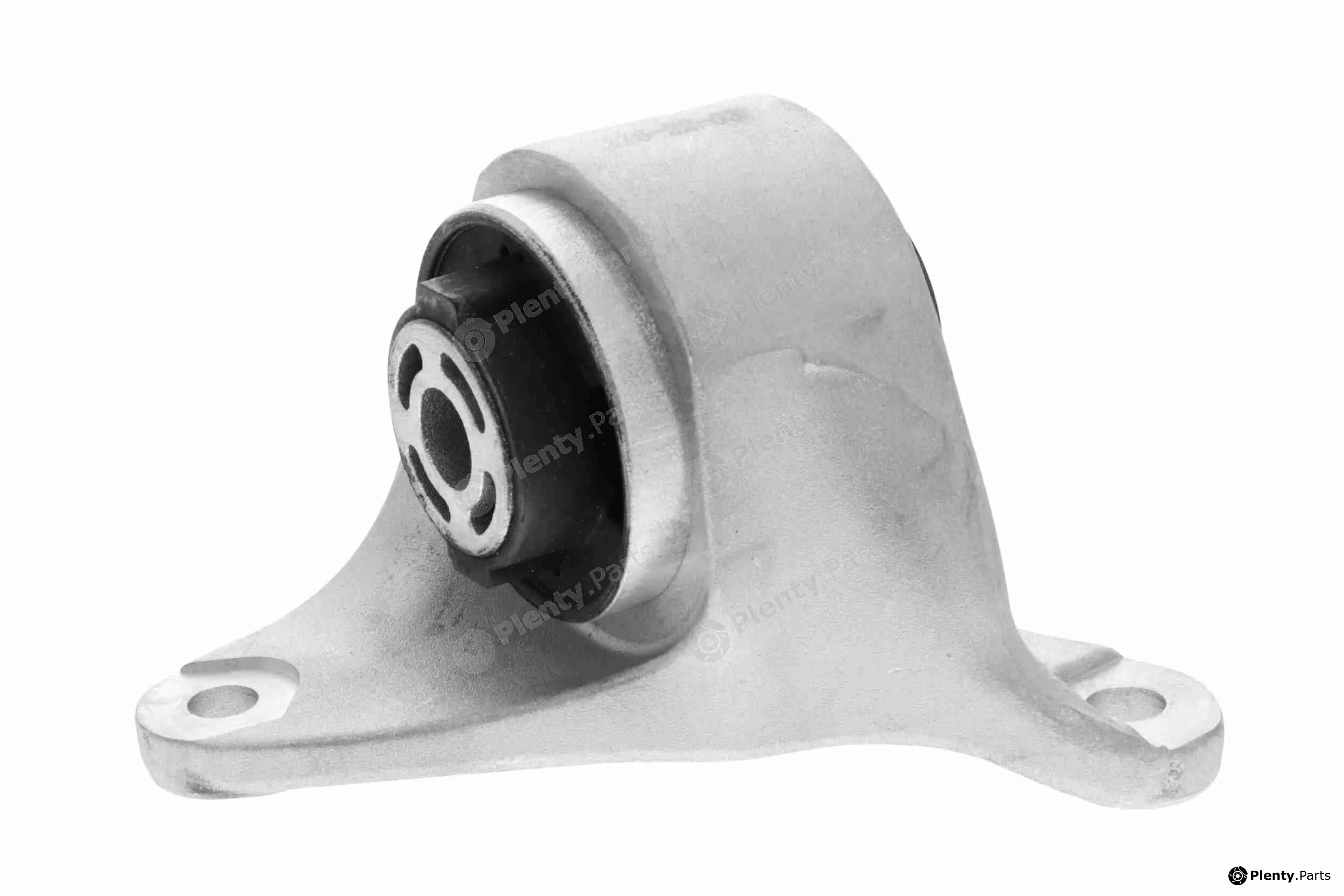 Vaico V58-0029 — Mounting, engine