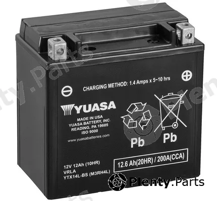 BTS Turbo B100239 — Starter Battery Maintenance Free