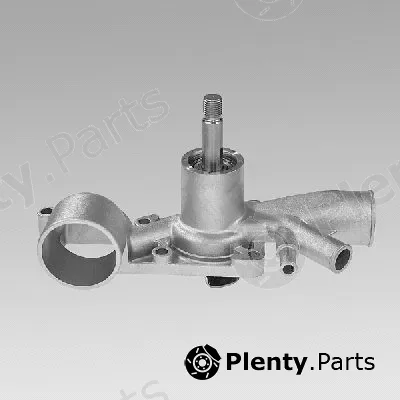 Hepu P875 — Water Pump, engine cooling
