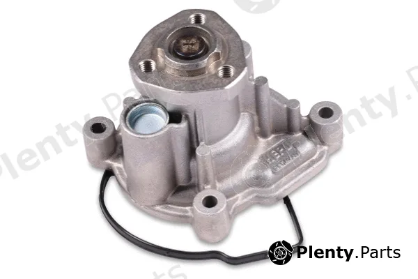 Hepu P581 — Water Pump, engine cooling