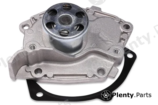 Hepu P955S — Water Pump, engine cooling