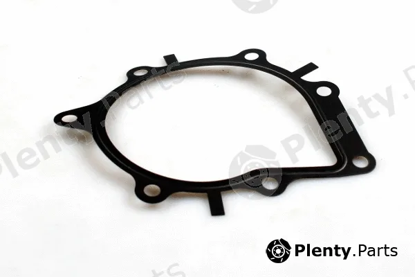 Hepu P807 — Water Pump, engine cooling
