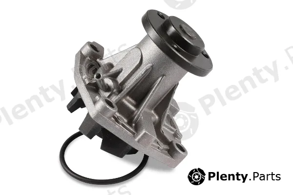 Hepu P1081 — Water Pump, engine cooling