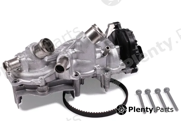 Hepu P5501 — Water Pump, engine cooling
