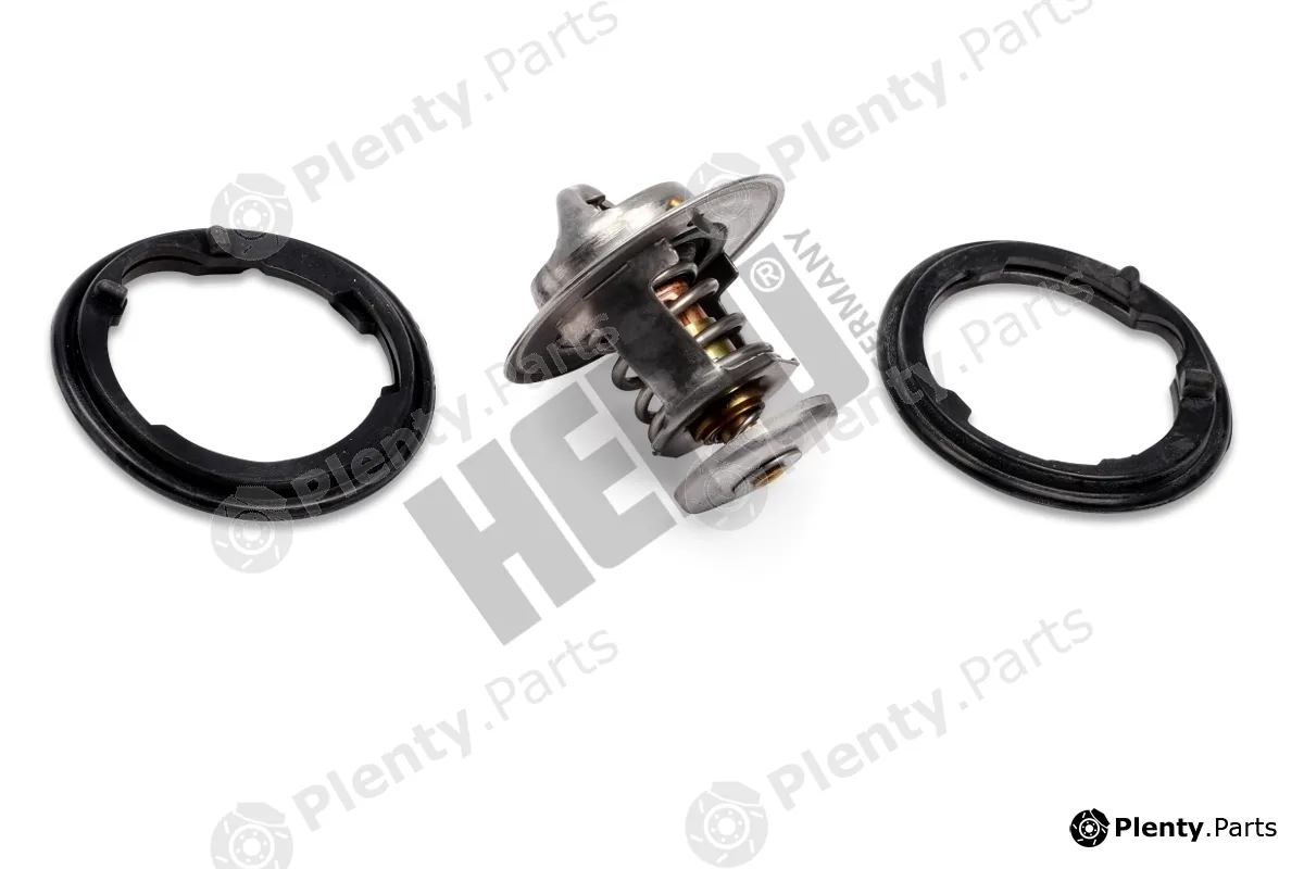 Hepu TM1319 — Thermostat, coolant
