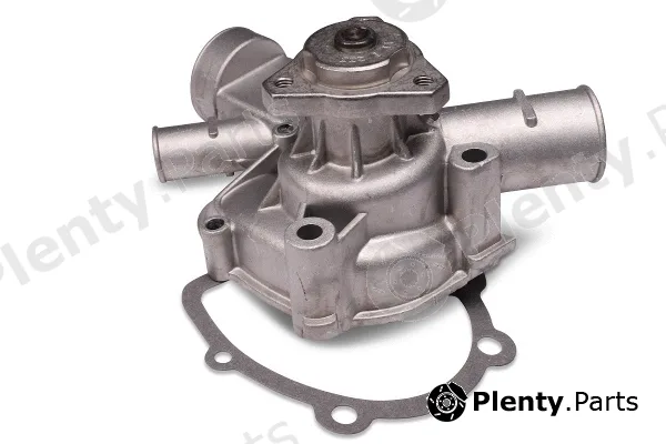 Hepu P529 — Water Pump, engine cooling