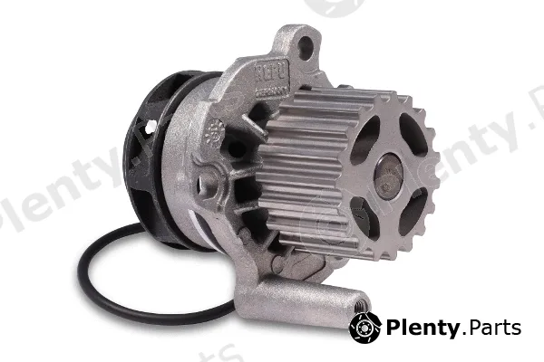 Hepu P550 — Water Pump, engine cooling