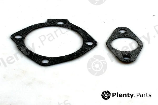Hepu P099 — Water Pump, engine cooling