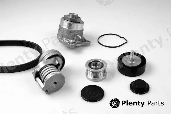 Hepu PK06560 — Water Pump + V-Ribbed Belt Kit
