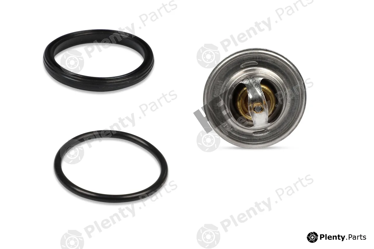Hepu TM1305 — Thermostat, coolant
