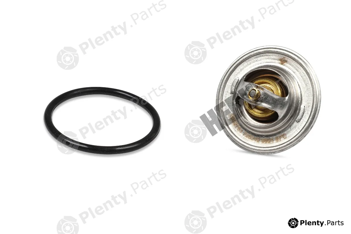 Hepu TM1243 — Thermostat, coolant