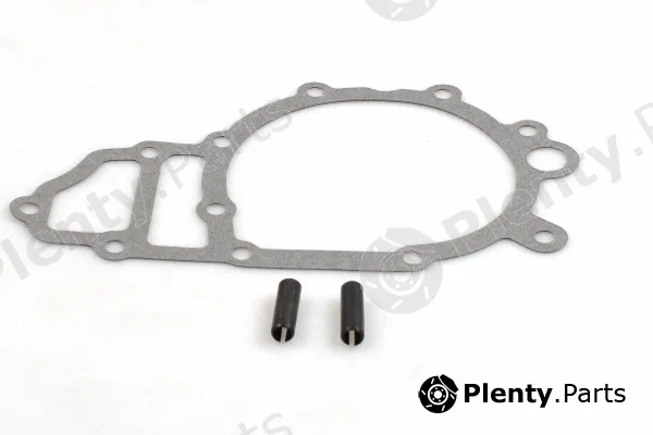 Hepu P591 — Water Pump, engine cooling