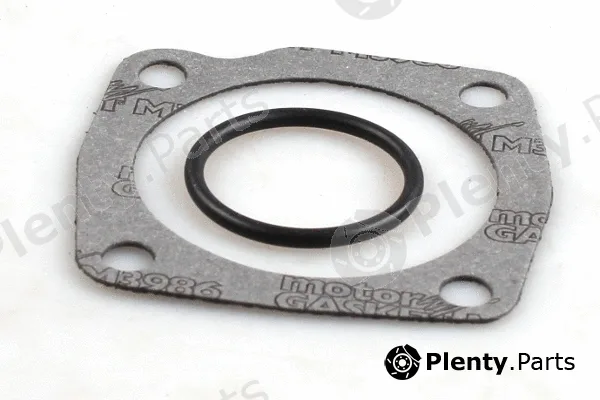 Hepu P1039 — Water Pump, engine cooling