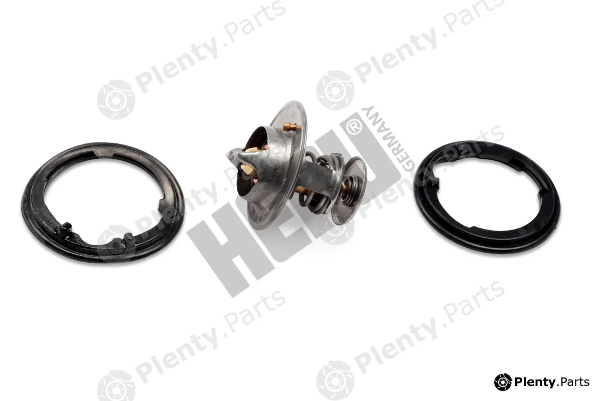 Hepu TM1317 — Thermostat, coolant