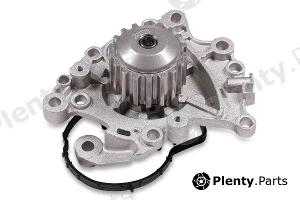 Hepu P1901 — Water Pump, engine cooling