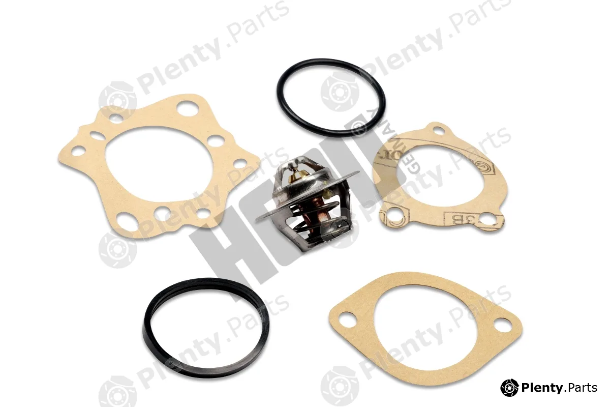 Hepu TM1323 — Thermostat, coolant