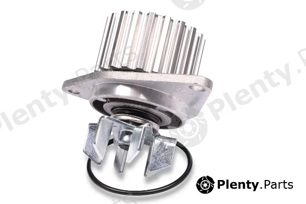 Hepu P813 — Water Pump, engine cooling