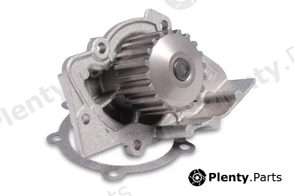 Hepu P841 — Water Pump, engine cooling