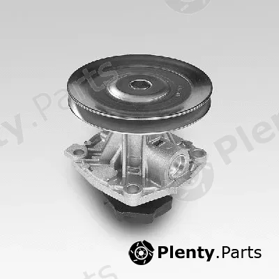 Hepu P120 — Water Pump, engine cooling